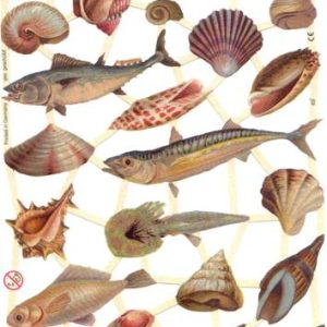 CROMOS ALEMANES REF. 7247 PECES