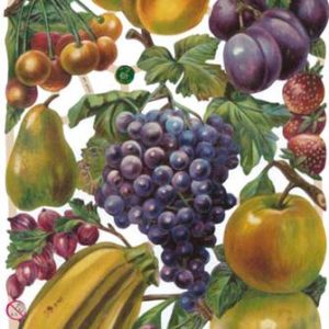 CROMOS ALEMANES REF. 7311 FRUTAS