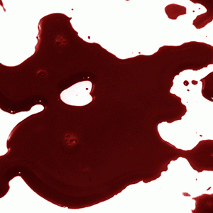 FRASQUITO LIQUIDO IMITACION SANGRE