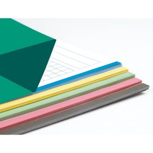 RECAMBIO LIDERPAPEL A4 100 H C/TALADRO 5 MM 100 G COLORES