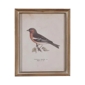 Cuadro pájaro madera y cristal (modelo 2)