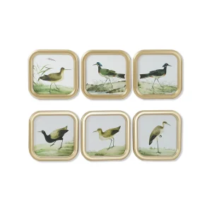 Cuadro cuadrado aves
